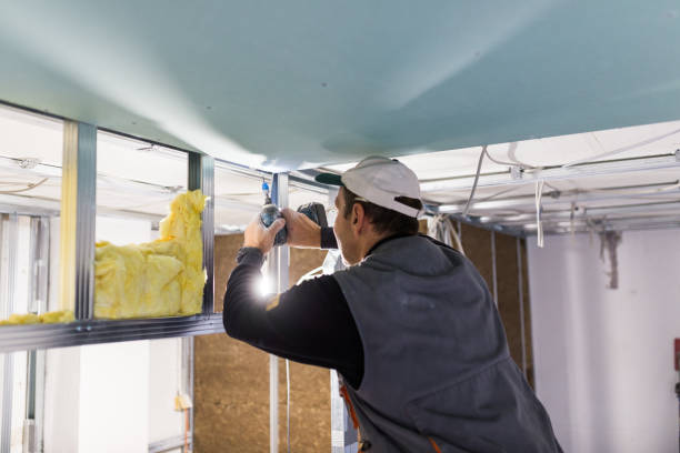 Best Residential Insulation in Alva, OK
